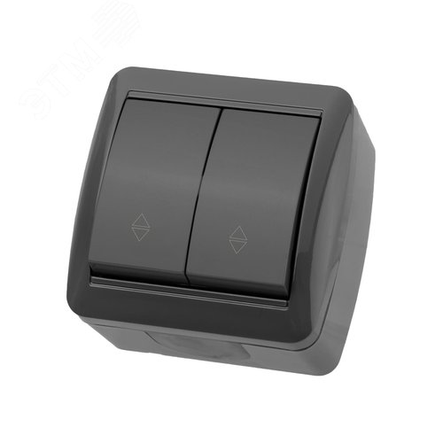 "Выключатель на 2 направления 2-кл. открытой установки IP44 10А серый ""Селигер"" TDM" 2