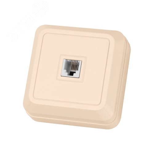 "Розетка TФ (RJ-11) открытой установки IP20, сл. кость ""Ладога"" TDM" - TDM ELECTRIC