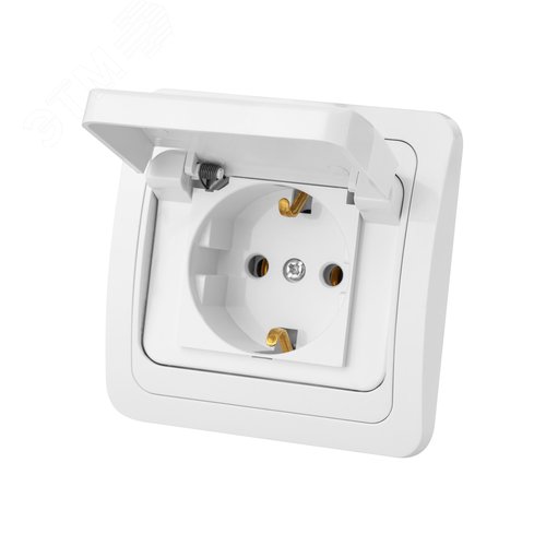 Розетка с крышкой 2П+З 16А IP44 белая  Валдай  TDM
