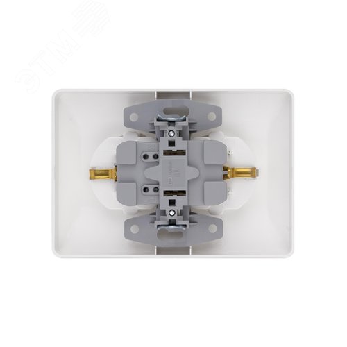 "Розетка двойная 2П+З 16А 250В белая ""Ильмень"" TDM" 2