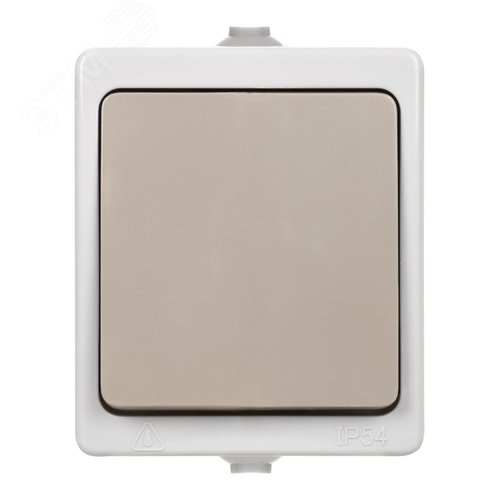 Выключатель одноклавишный открытой установки IP54 10А ''Вуокса'' 4