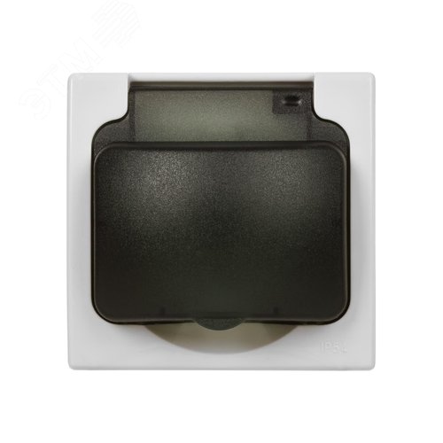 "Розетка 2П+З скрытой установки IP54 16А серая ""Вуокса"" TDM" 2