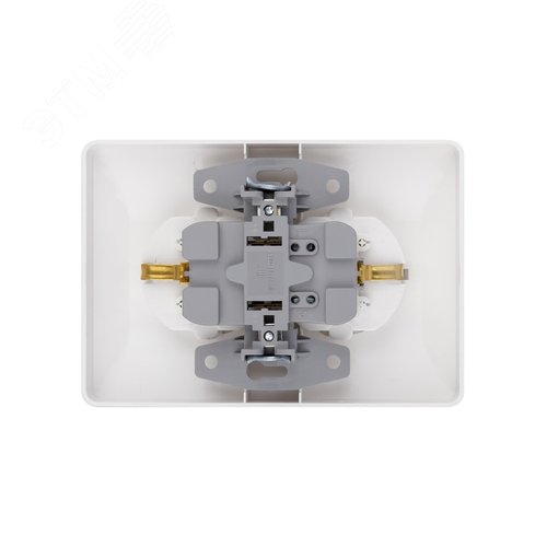 "Розетка двойная 2П+З с защ. шт. 16А 250В белая ""Ильмень"" TDM" 5