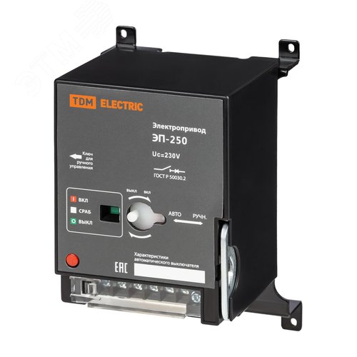 Электропривод ЭП-250 ВА89 TDM 4