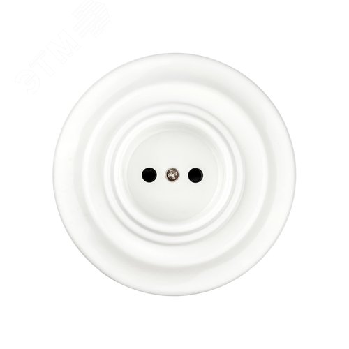 Розетка скрытой установки фарфоровая 2П+З 16А 250В белая «Болонь» TDM - фото 6