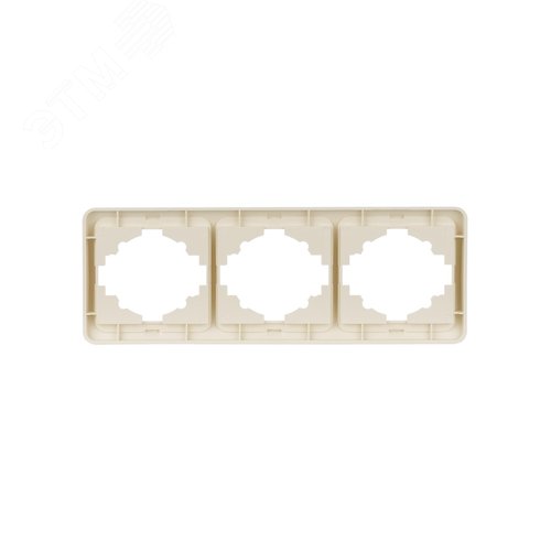 Рамка 3-ая горизонтальная сл. кость Валдай TDM 2