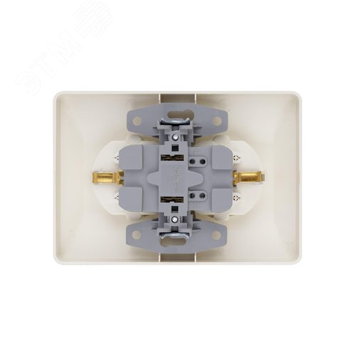 "Розетка двойная 2П+З 16А 250В сл. кость ""Ильмень"" TDM" 2