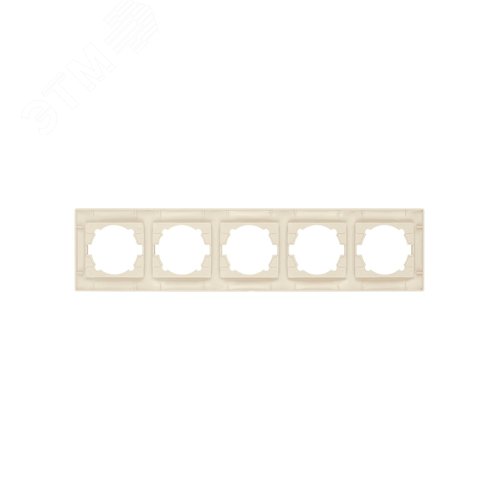 Рамка 5-ти постовая горизонтальная сл. кость Лама TDM 4