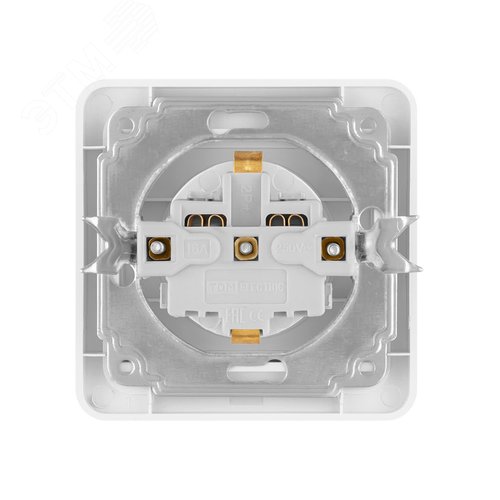 Розетка с крышкой 2П+З 16А IP44 белая  Валдай  TDM 6