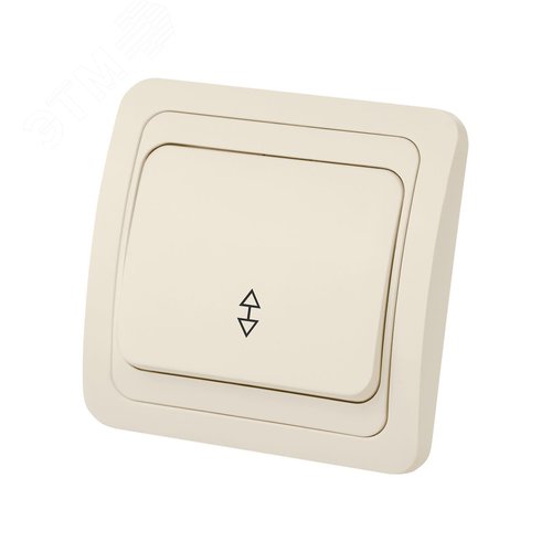 Переключатель на 2 направления 1-кл. 10А сл.кость  Валдай  TDM 3