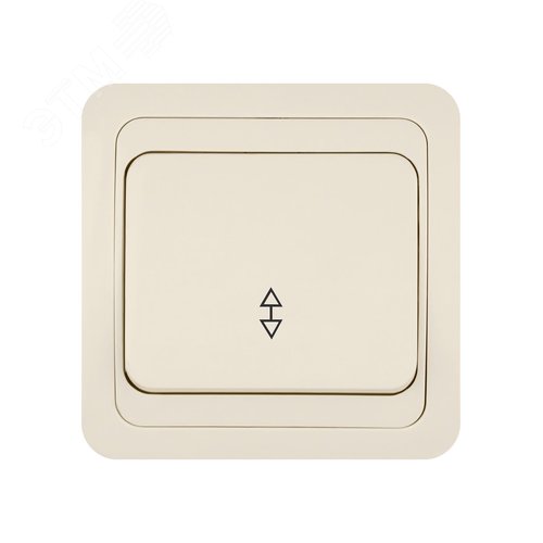 Переключатель на 2 направления 1-кл. 10А сл.кость  Валдай  TDM 2