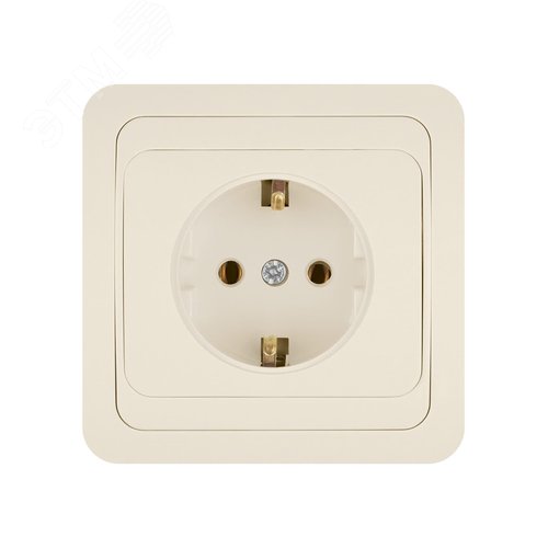 Розетка 2П+З 16А сл. кость  Валдай  TDM 3