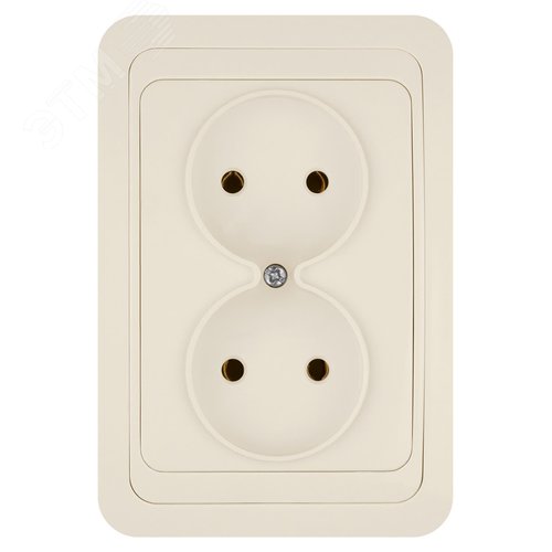 "Розетка двойная 2П 10А сл. кость ""Валдай"" TDM" 2