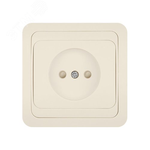 Розетка 2П 10А c защитными шторками сл. кость  Валдай  TDM 3