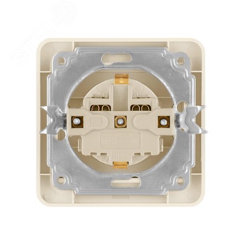 Розетка 2П+З 16А  c защитными шторками сл. кость  Валдай  TDM 4
