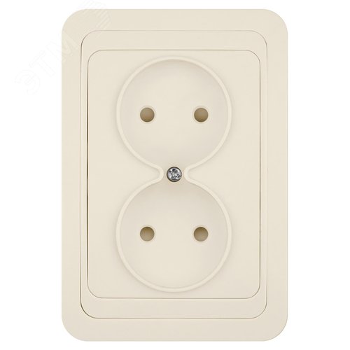 Розетка двойная 2П 10А c защитными шторками сл. кость  Валдай  TDM 2