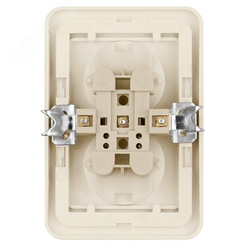 Розетка двойная 2П 10А c защитными шторками сл. кость  Валдай  TDM 4