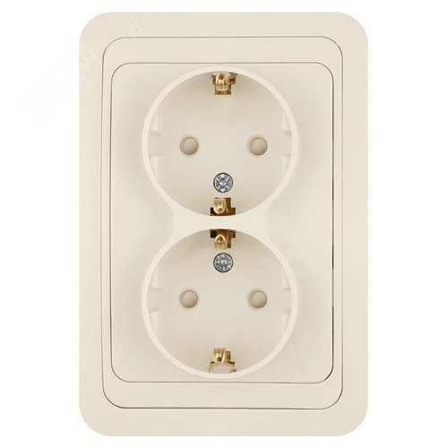 Розетка двойная 2П+З 16А c защитными шторками сл. кость  Валдай  TDM 3