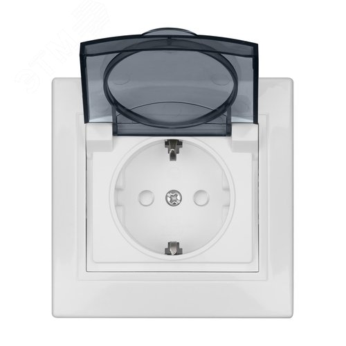 Розетка 2П+З с защ. шт. и крышкой 16А 250В IP44 белая Таймыр (пром. упак., бакелит. основание) TDM 5