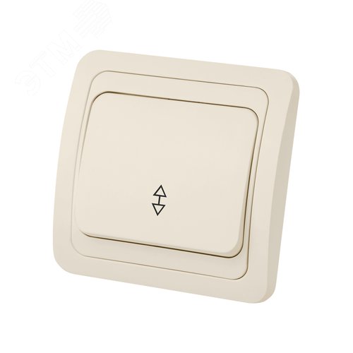 Переключатель на 2 направления 1-кл. 10А сл.кость  Валдай  TDM