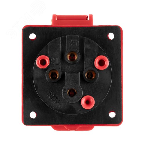Розетка 424 скрытая 3Р+РЕ 32А 380В IP44 TDM - фото 5