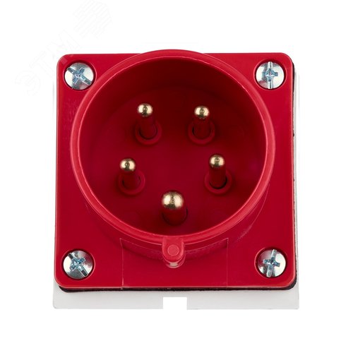 Вилка 515 стационарная 3Р+РЕ+N 16А 380В IP44 TDM - фото 3