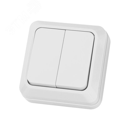 Выключатель двухклавишный открытой установки IP20 10А, белый ''Ладога'' 3