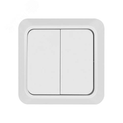Выключатель двухклавишный открытой установки IP20 10А, белый ''Ладога'' 4