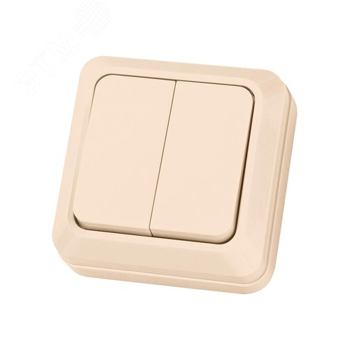 "Выключатель 2-кл. открытой установки IP20 10А, сл. кость ""Ладога"" TDM" 3