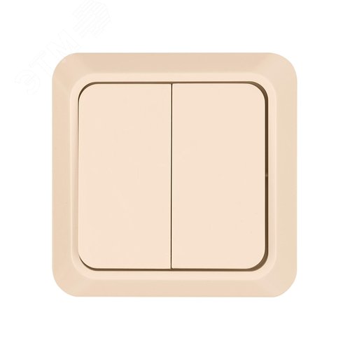 "Выключатель 2-кл. открытой установки IP20 10А, сл. кость ""Ладога"" TDM" 4