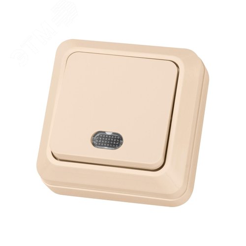 "Выключатель 1-кл. открытой установки с подсветкой IP20 10А, сл. кость ""Ладога"" TDM" 6