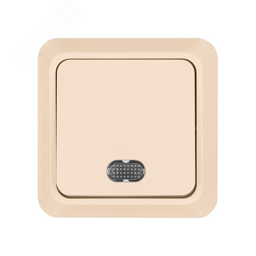 "Выключатель 1-кл. открытой установки с подсветкой IP20 10А, сл. кость ""Ладога"" TDM" 4