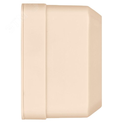 "Розетка двойная 2П+3 открытой установки IP20 16А, сл. кость ""Ладога"" TDM" 7