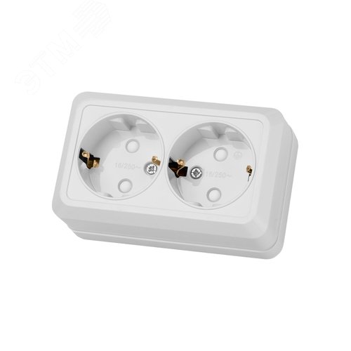 Розетка двойная 2П+З открытой установки с защитными шторками IP20 16А, белый ''Ладога'' 5