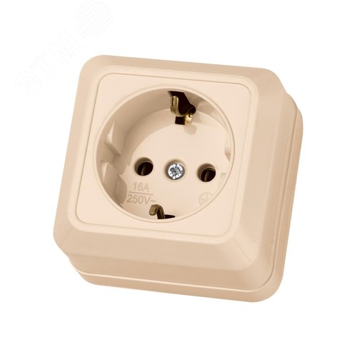 "Розетка 2П+3 открытой установки IP20 16А 250В (керамика) сл. кость ""Ладога"" TDM" 2