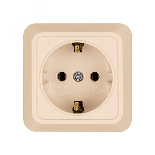 "Розетка 2П+3 открытой установки IP20 16А 250В (керамика) сл. кость ""Ладога"" TDM" 5