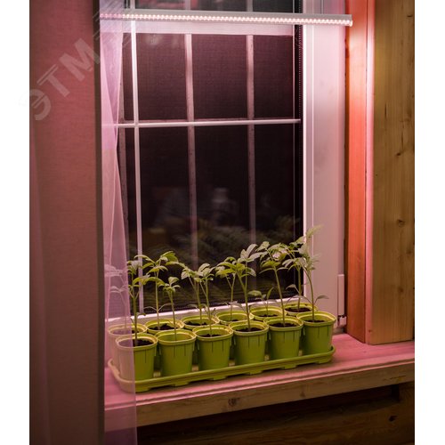 Светильник для растений ФИТО 06-14-001 14Вт IP20 L873мм с выключателем 6