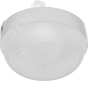 Светильник светодиодный TS LED 100 4000K IP44 круглый 2