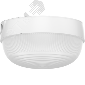 Светильник светодиодный TS LED 100 4000K IP44 круглый 3