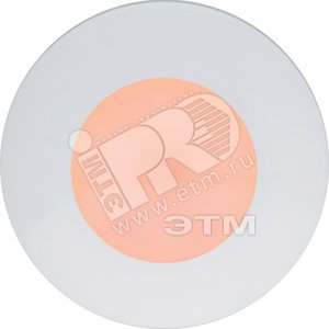 Светильник аварийный BS + 2WR (4501006540) - Световые Технологии