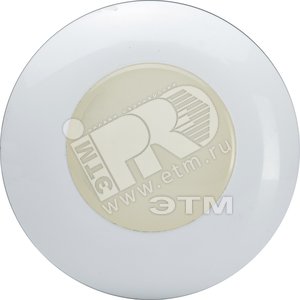 Авар.светильник BS 2031-1 GRW2 - Световые Технологии
