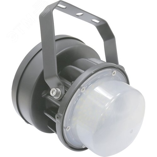 Светильник светодиодный ACORN LED 30 D120 5000K - Световые Технологии