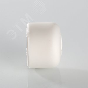 Заглушка 25 полипропиленовая PPR белая 4