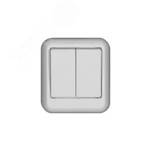 ПРИМА Выключатель двухклавишный наружный 250В 6А белый (A56-029-B) 5