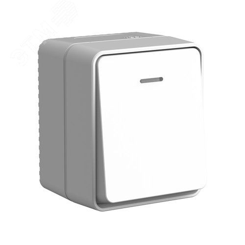 AtlasDesign PROFI IP54 открытой установки 1-клавишный выключатель с подсветкой 10 АХ, серый - артикул ATN543013