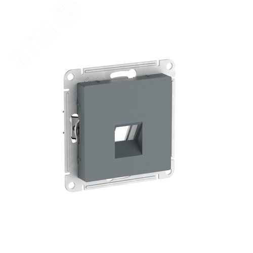 ATLASDESIGN НАКЛАДКА двойная для информационных функций типа Keystone, СТАЛЬ - SE (Потенциал)
