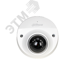 в/к IP DH-IPC-HDBW2231FP-AS-0280B - фото 2