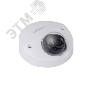 Камера IP DH-IPC-HDBW4231FP-AS-0360B-S2 (DH-IPC-HDBW4231FP-AS-0360B-S2) - Dahua