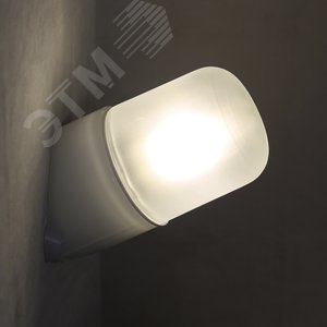 Светильник Линда 110 НББ 19-40-002 IP65 t=125 град матовый корпус наклонный опал ГИ - фото 6