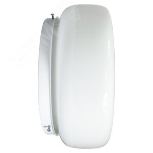 Светильник НПО-22-1x100-230 (Таблетка) (1005150221) 3